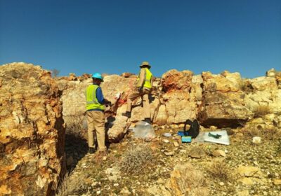 Arcadia Minerals identifiziert weitere mineralisierte Pegmatite nahe Swanson